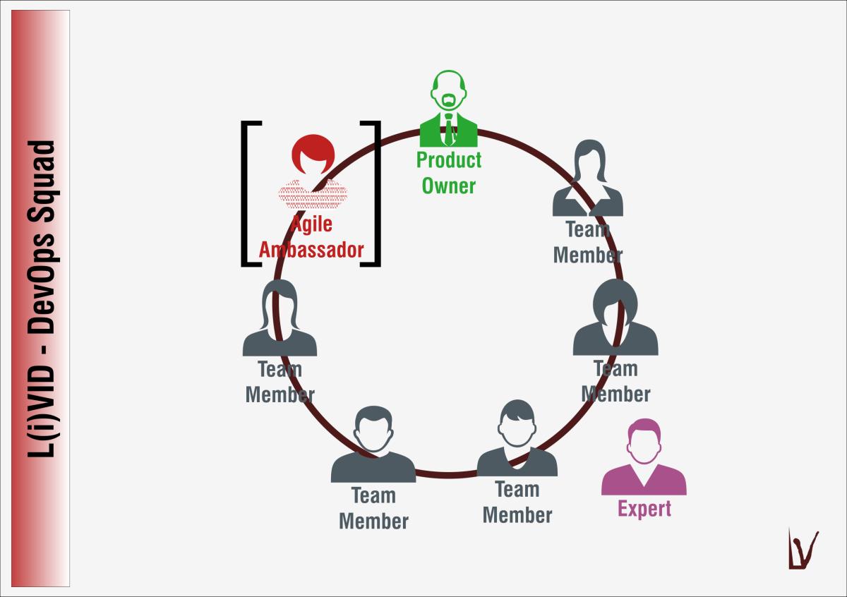 Une équipe de développement typique dans le monde de L(i)VID : 7
                personnes + experts pour des besoins ad hoc (DBAs, Sécurité,
                Architectes, …)